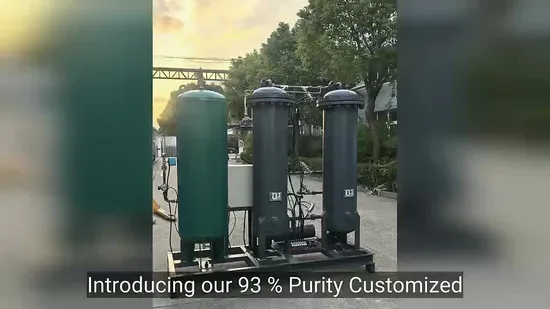 93% Purity Psa Oxygen Generator Machine with Adjustable Outlet Pressure